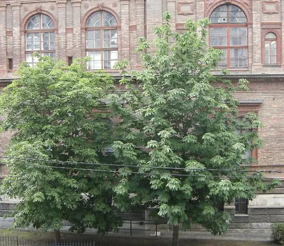 Pensión Schottentor